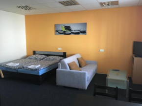 Apartment Corriger Ústí Nad Orlicí